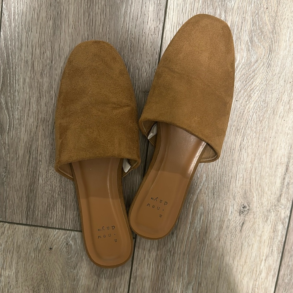 A new day mules